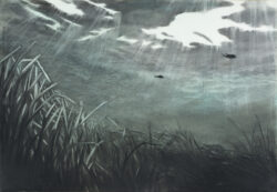 seagrass 2 (2024) | charcoal and ink on paper | 70 x 100 cm