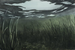 seagrass 4 (2024) | charcoal and ink on paper | 70 x 100 cm