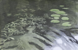 seagrass 5 (2024) | charcoal and ink on paper | 70 x 100 cm