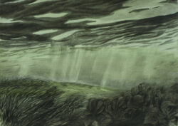seagrass 6 (2024) | charcoal and ink on paper | 70 x 100 cm